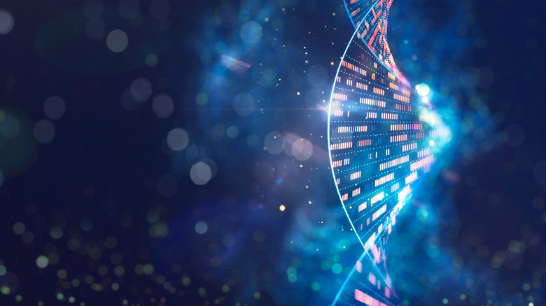DNA double helix