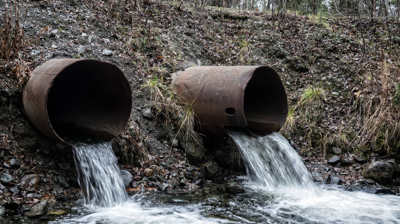 Runoff