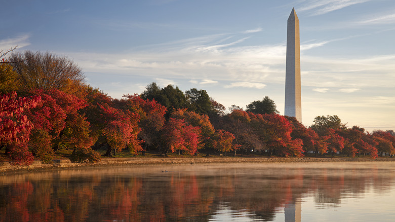 Sun sets on DC autumn