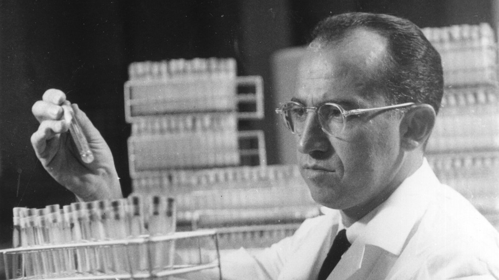 Salk examines test tube