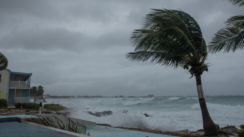 Cayman Islands beach