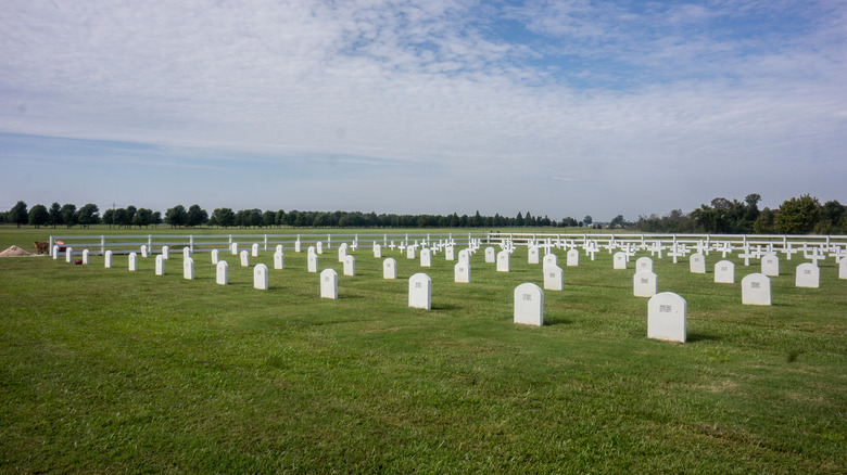 Graves dot a field
