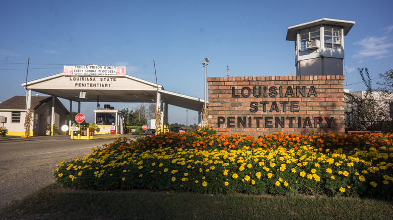 Flowers grow before prison sign