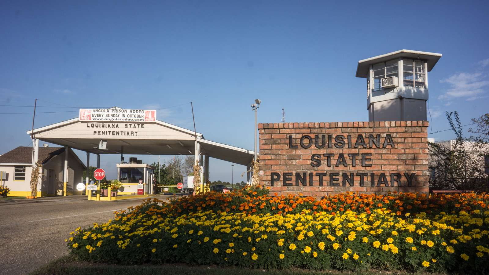 Why Louisiana's Angola Prison Is So Dangerous Internewscast Journal