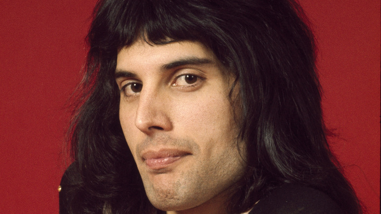 Freddie Mercury with shag haircut
