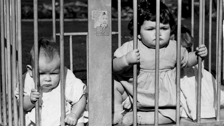 London baby cages