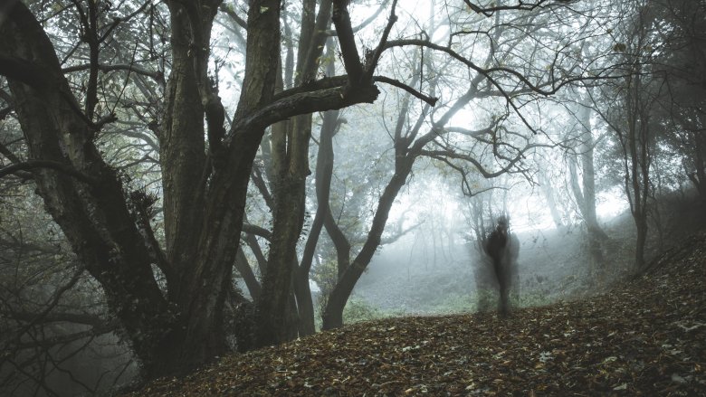 Ghost in the woods