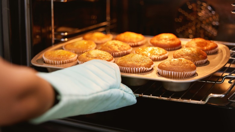 Tray of muffins taken from oven