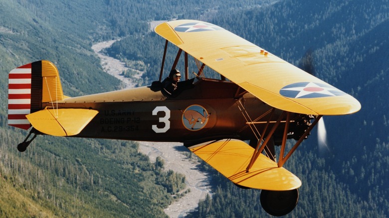 Pilot flying over mountains