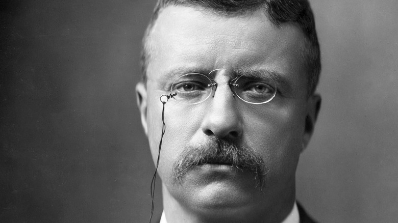 Teddy Roosevelt