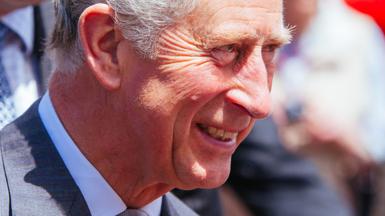 Prince Charles smiles