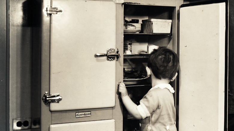Child digs through refrigerator