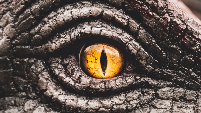 Close up of dinosaur's eye