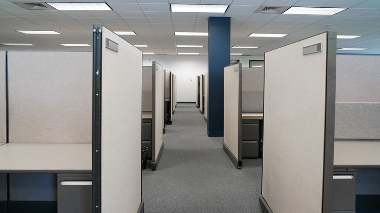 Cubicles in an office