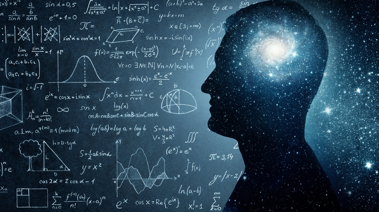 Mathematical universe mind