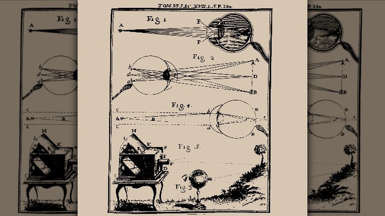 Comparing human eye and camera obscura