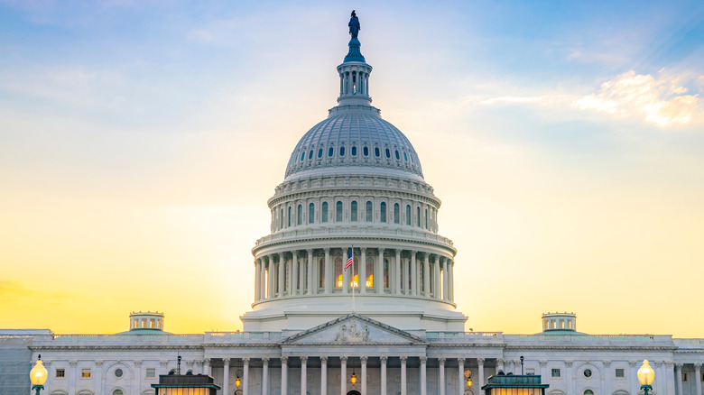 The U.S. Capitol 