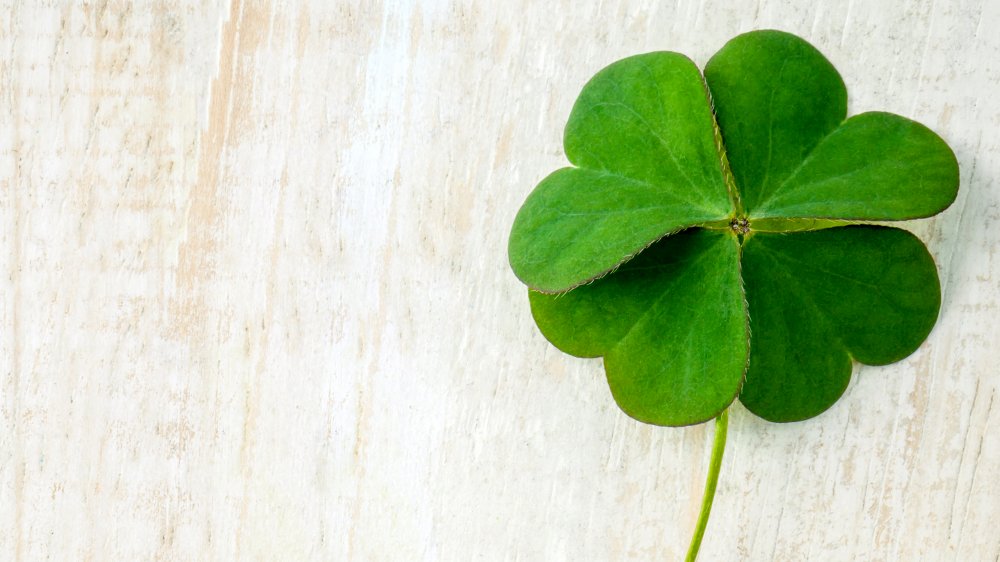 Shamrock
