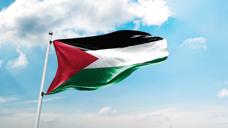 Palestinian flag waving in wind