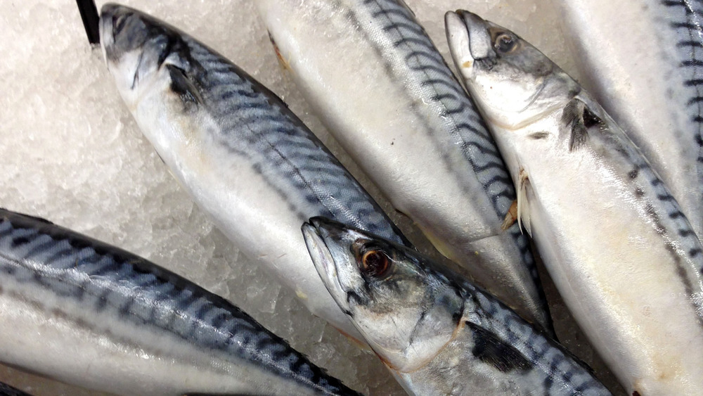 Mackerel on ice