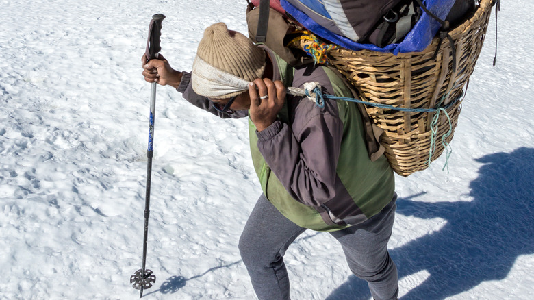 Sherpa porter