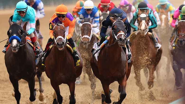 racehorses at Churchill Downs 