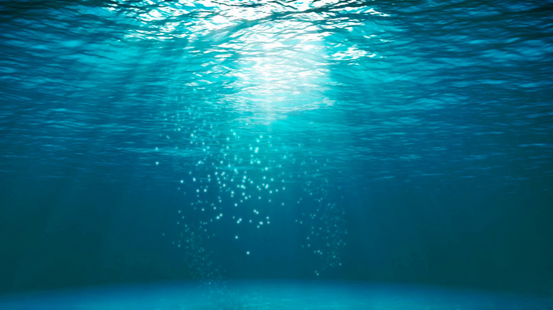 Underwater view with sunlight