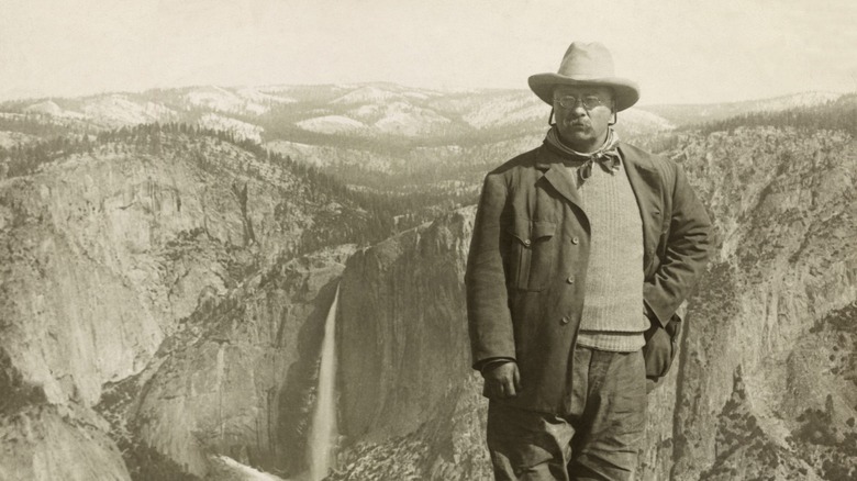 Roosevelt at Yosemite National Park