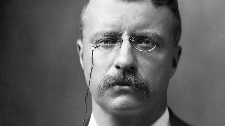 President Theodore Roosevelt 