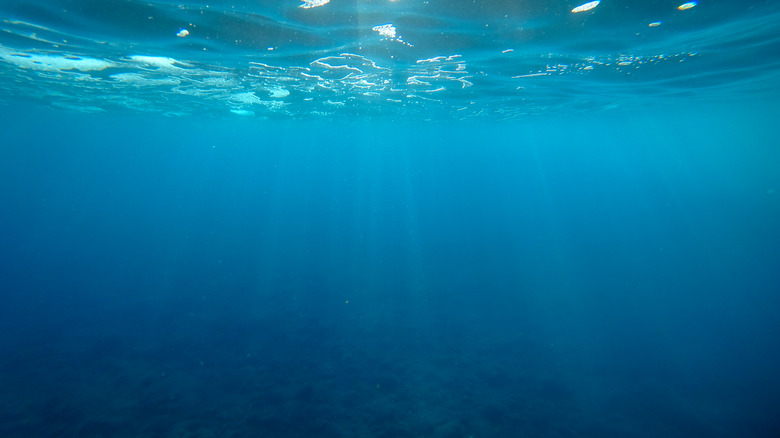 Below the surface