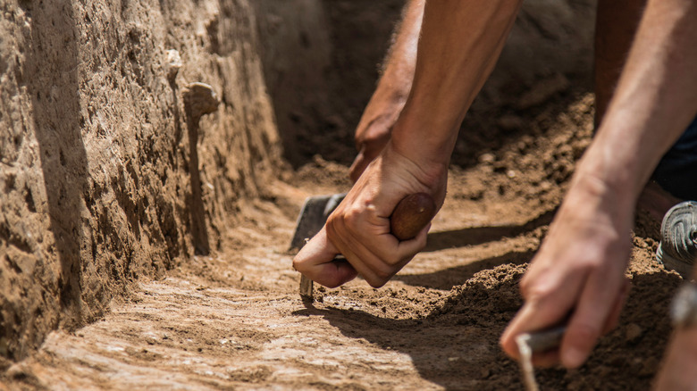 Archeologists digging