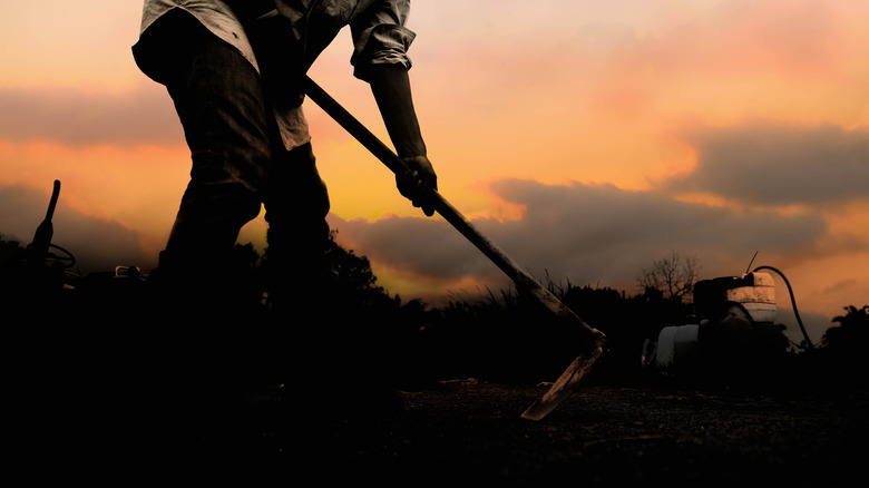 Person digging with hoe