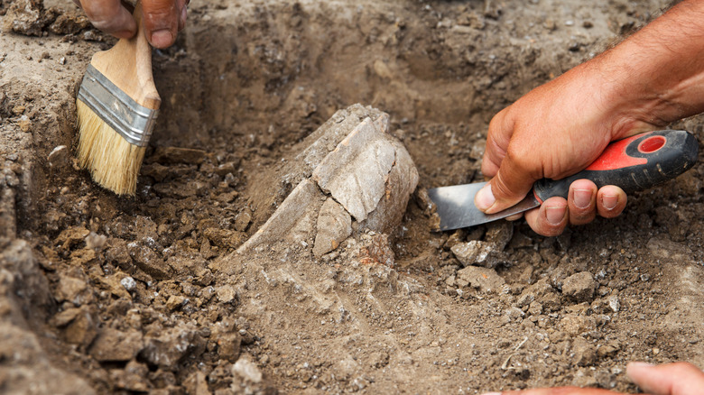 People digging up buried object