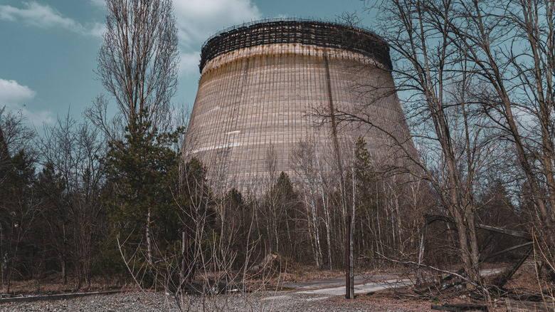 chernobyl post disaster