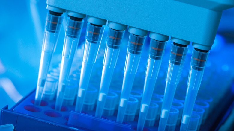 DNA sampling