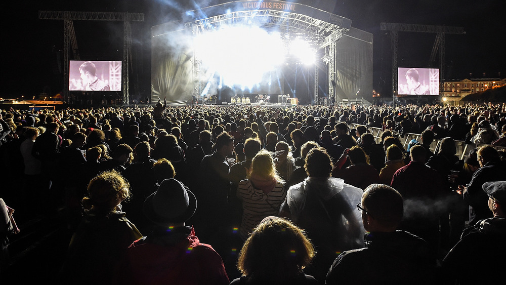 The Libertines concert crowd