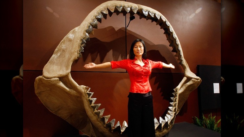 Why The Megalodon Has Earned The Title Of 'Hyper Apex Predator'