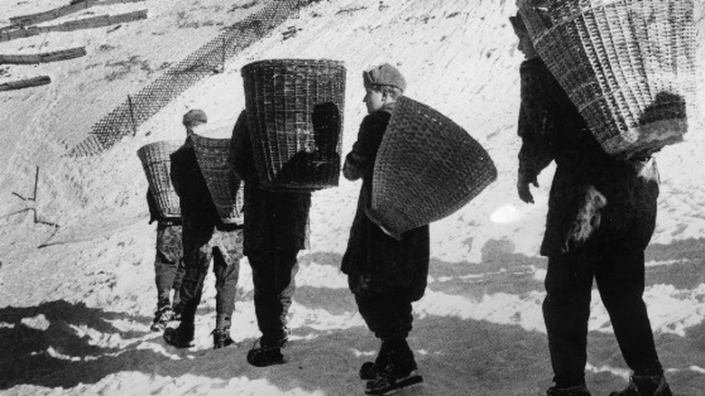 austrian army 1964