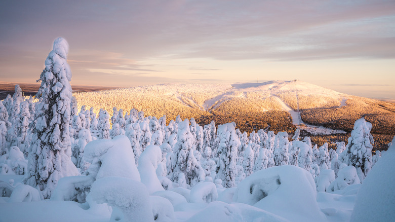 Winter landscape stretching onwards