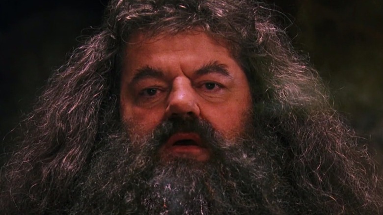 Hagrid in Hogwarts