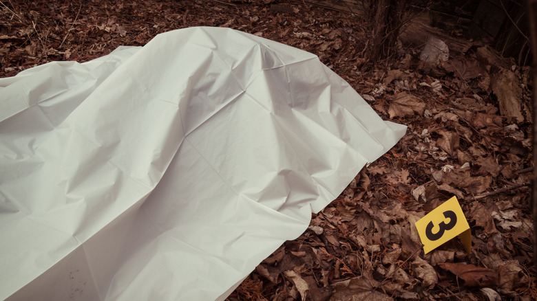 body under blanket in woods