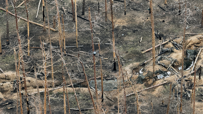 Serebryansky Reserve devastated by war