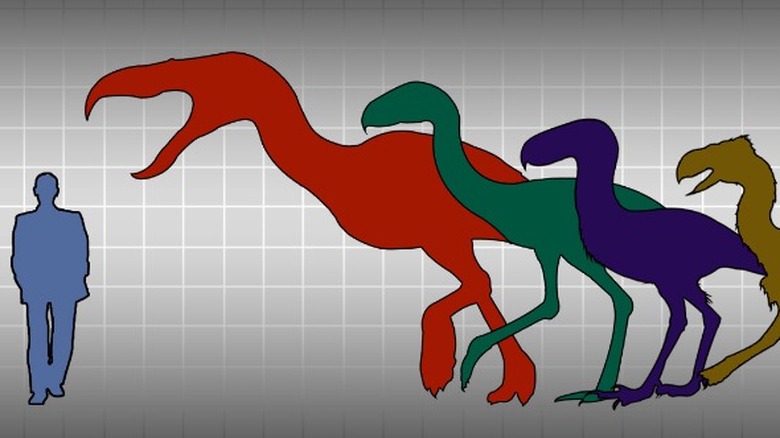 terror birds vs humans graphic