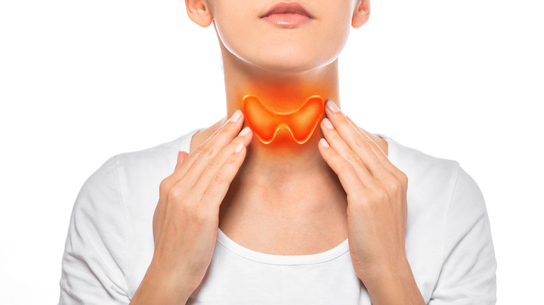 Thyroid gland