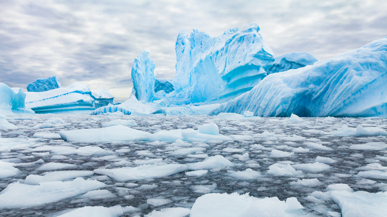 Antarctic iceberg