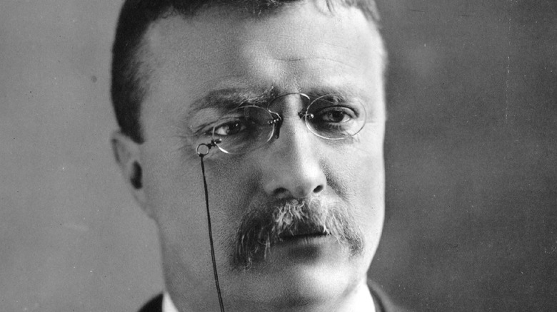 Theodore Roosevelt portrait