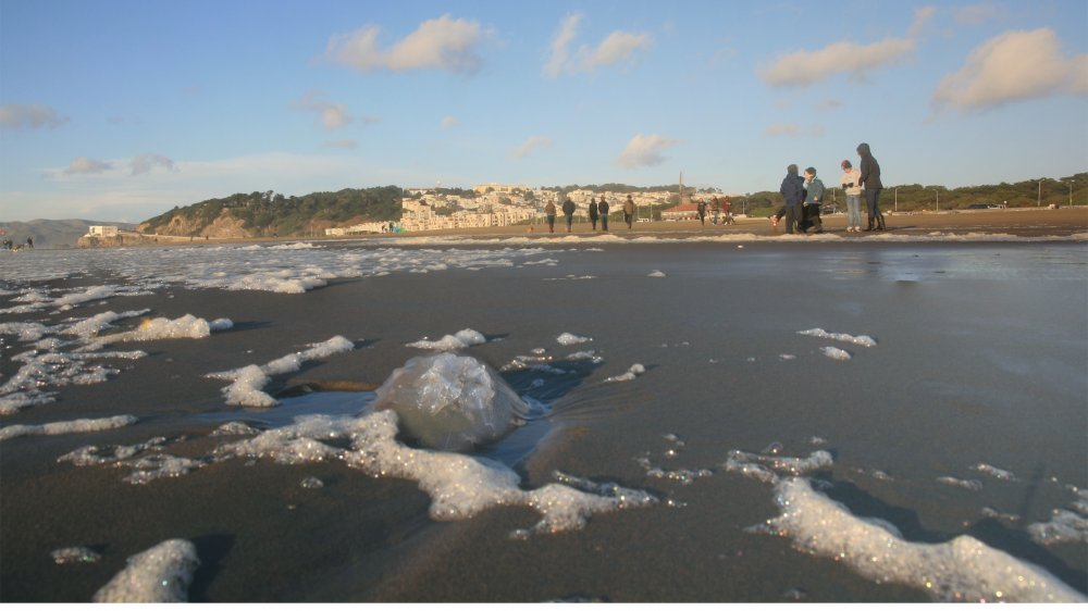 Ocean Beach San Francisco