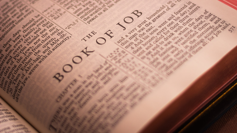 The Book of Job in the Bible