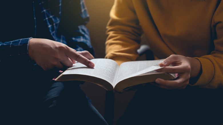 studying the bible