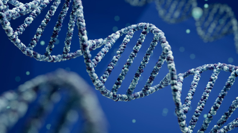 Digital rendering of DNA helix
